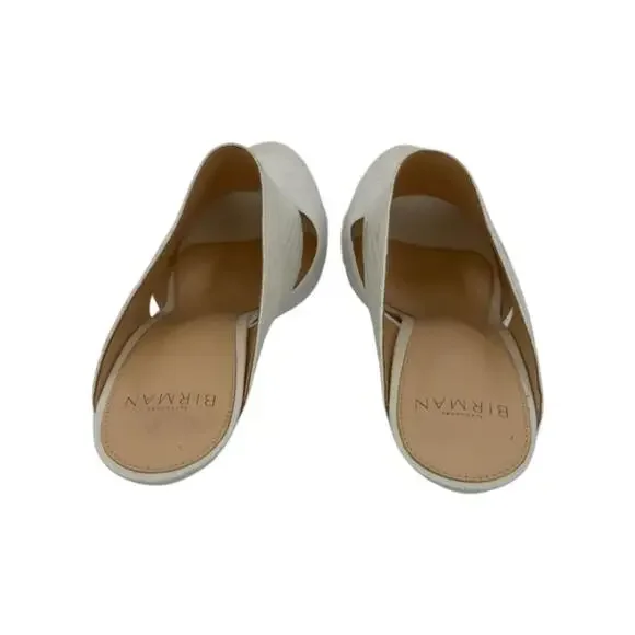 Alexandre Birman Python Slides